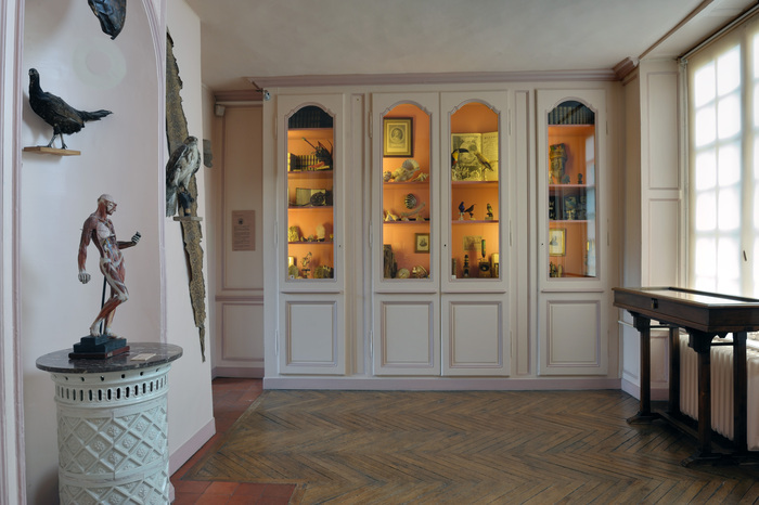 Visite guidée des collections permanentes Musée Flaubert et d'histoire de la Médecine Rouen