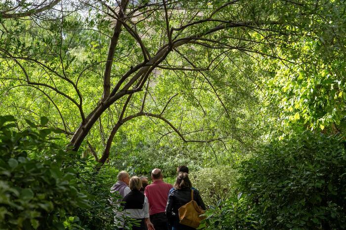 Visite guidée des cours et jardins du quadrilatère des Archives nationales, Archives nationales – Site de Paris, Paris