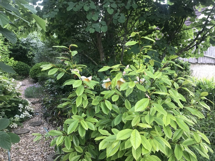 Visite guidée des jardins de l&rsquo;Alisier Blanc et exposition de céramiques, Les jardins de l&rsquo;Alisier Blanc, Beaulieu-sur-Loire