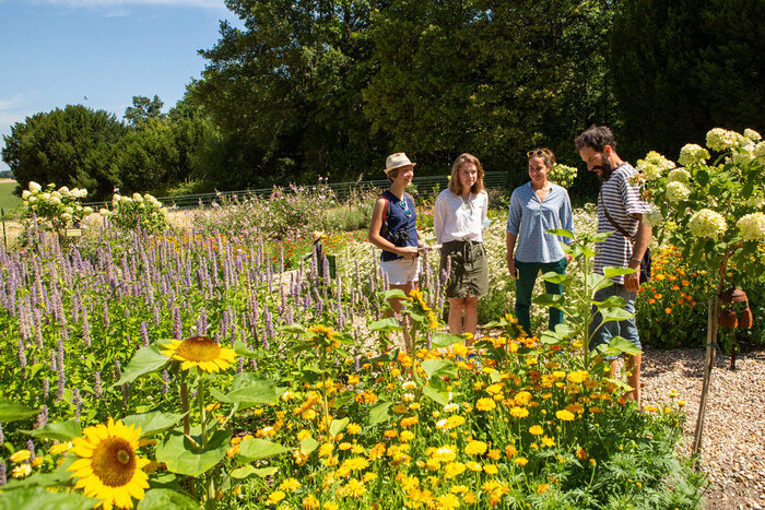 Visite guidée des jardins, un patrimoine environnemental en péril, Château du Rivau, Lémeré