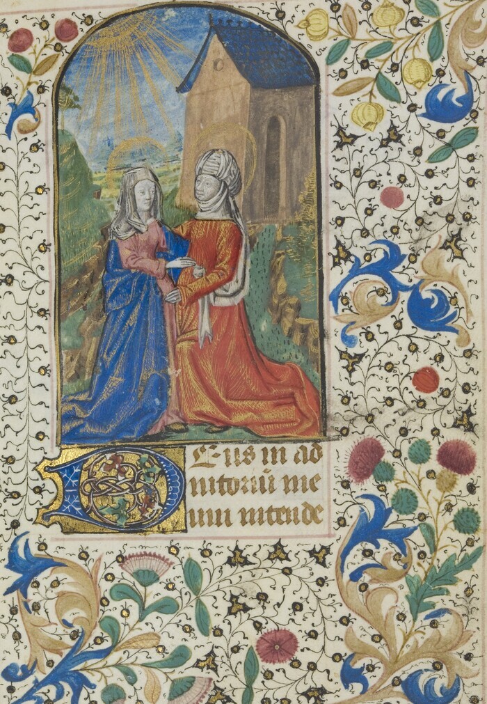 Visite guidée des réserves de la médiathèque de Rodez, Médiathèque de Rodez, Rodez