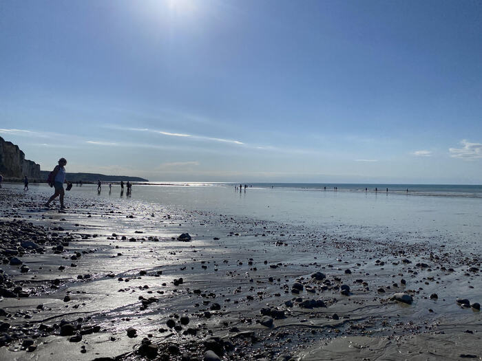 Visite guidée : Dieppe depuis l’Estran, étranges perspectives et lignes de ville, La rotonde des bains, Dieppe