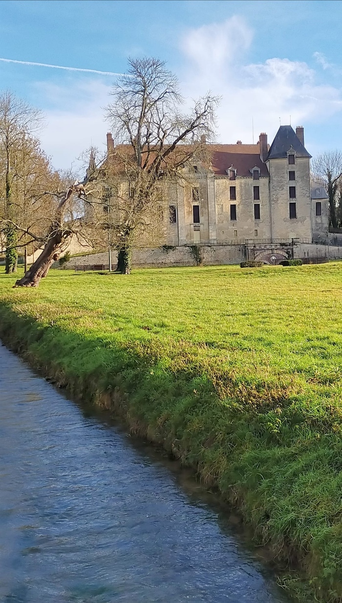 Visite guidée du Château de Vendeuvre sur Barse par l&rsquo;association « les gardiens du château de Vendeuvre sur Barse », Château de Vendeuvre-sur-Barse, Vendeuvre-sur-Barse