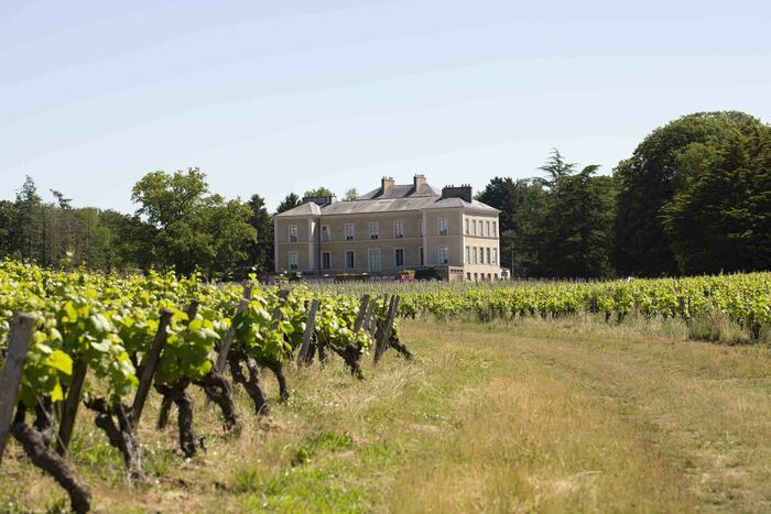 Visite guidée du château du Cléray, Château du cléray, Vallet