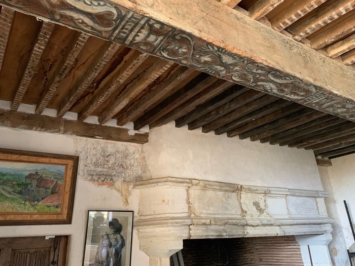 Visite guidée du château par les propriétaires : intérieurs ouverts après plus de 30 ans fermés au public !, Château de Fages, Saint-Cyprien