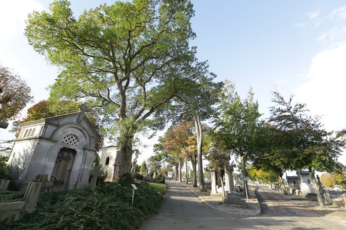 Visite guidée du cimetière, Cimetière Sainte-Marie, Le Havre