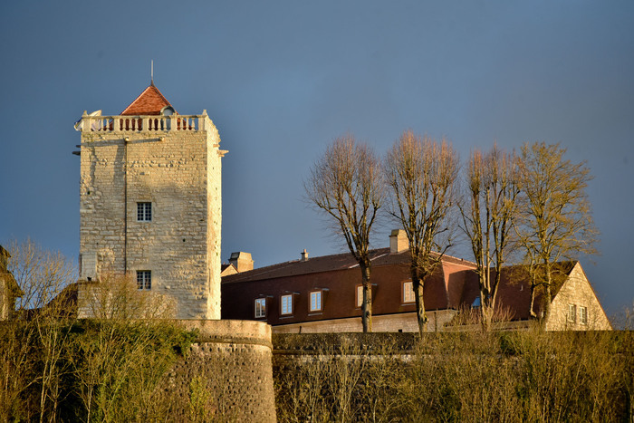 Visite guidée du donjon des Comtes de Champagne à Chaumont, Donjon des Comtes de Champagne, Chaumont