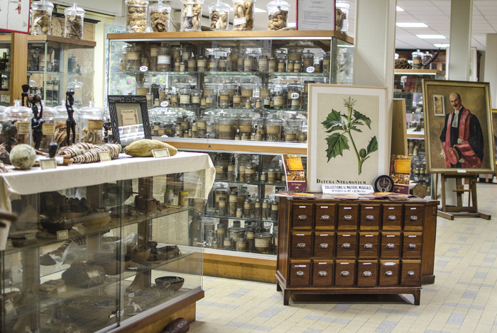 Visite guidée du Droguier, Faculté de pharmacie de Montpellier, Montpellier