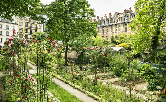 Visite guidée du jardin botanique de la Faculté de Pharmacie de Paris, Faculté de Pharmacie de Paris, Paris