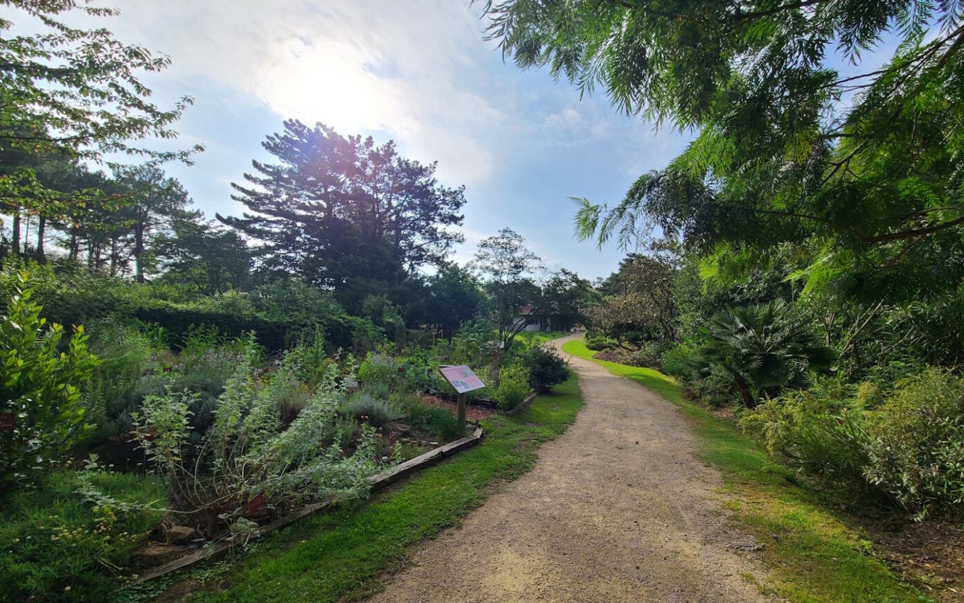 Visite guidée du Jardin botanique Jardin botanique Littoral Saint-Jean-de-Luz