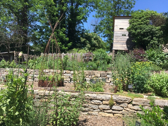 Visite guidée du jardin médiéval de l’abbaye de Cendras, Abbaye bénédictine de Cendras, Cendras