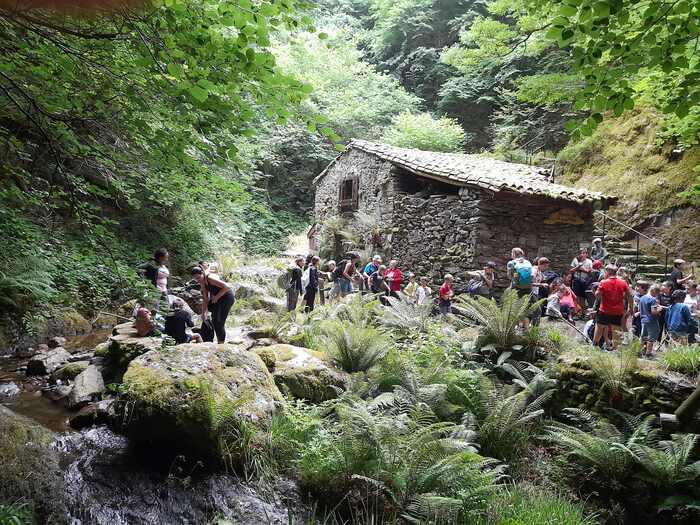 Visite guidée du moulin de la Laurède, Moulin de la Laurède, Burret