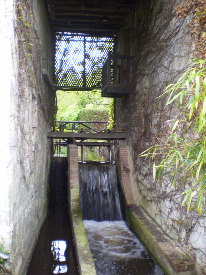 Visite guidée du Moulin fleuri, Moulin, Saint-Aignan-le-Jaillard