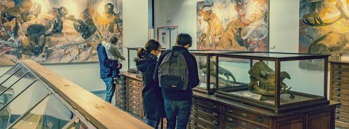 Visite guidée du musée de géologie, Bâtiment 5 – Campus de Beaulieu, Rennes