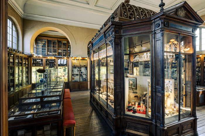 Visite guidée du Musée François Tillequin – collections de Matière médicale, Faculté de Pharmacie de Paris, Paris