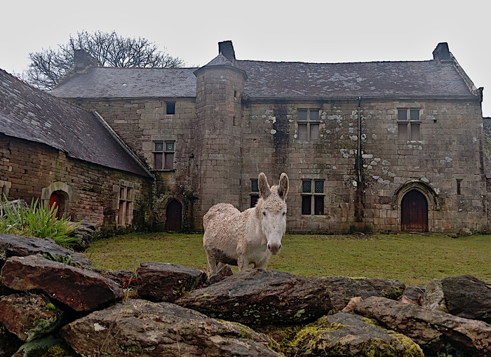 Visite guidée d&rsquo;un manoir breton du XVe siècle en cours de restauration, Manoir de Minguionnet, Gourin