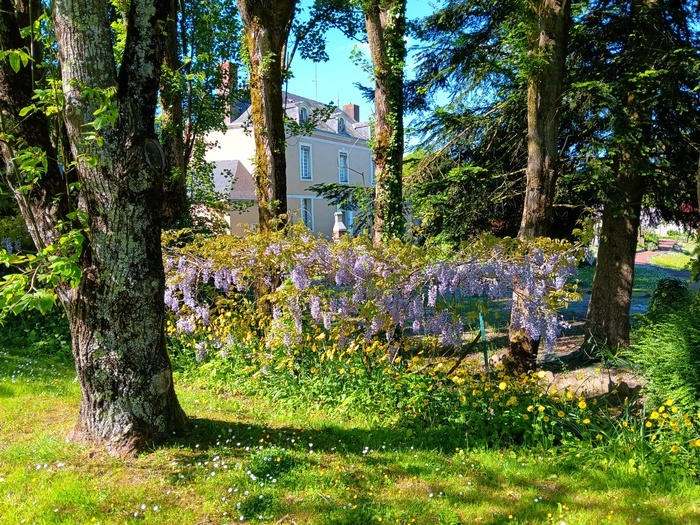 Visite guidée d&rsquo;un petit hôtel particulier fin XVIII ème aux décors peints d&rsquo;époque et de son vaste jardin à la faune et la flore variées., Le Domaine, Saint-Martin-du-Limet