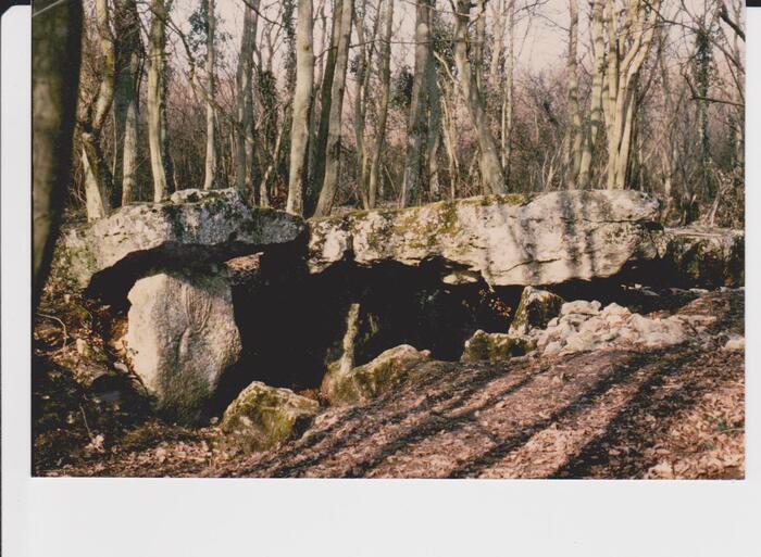 Visite guidée d’une allée couverte néolithique, Allée couverte de Dampsmesnil, Vexin-sur-Epte