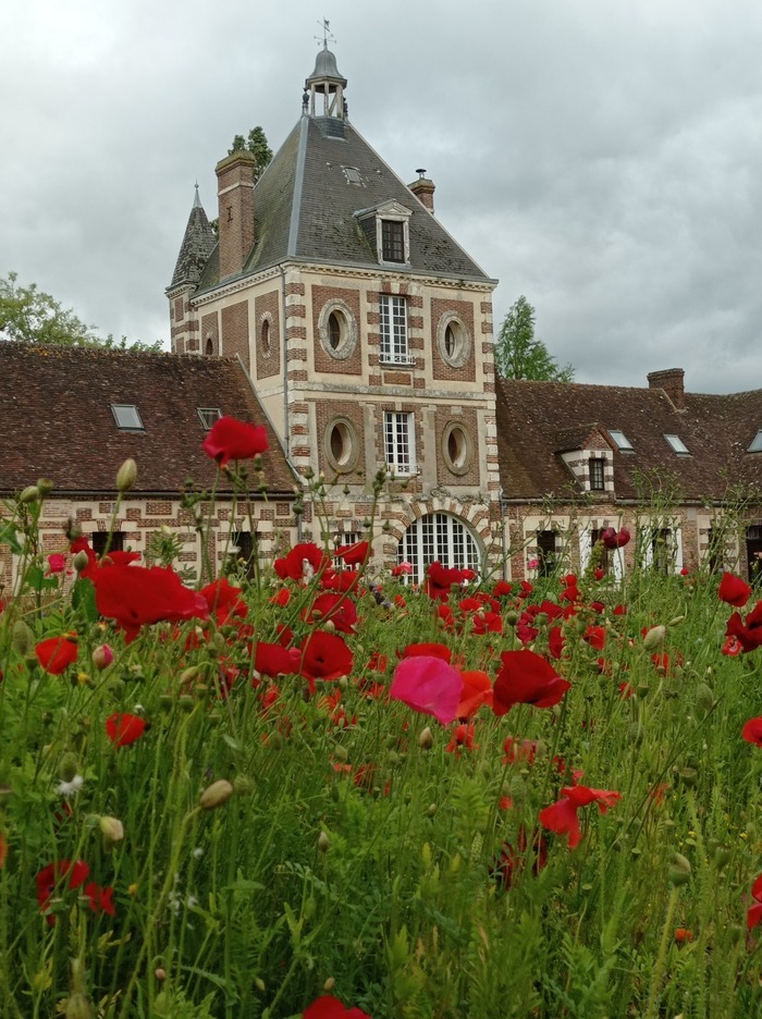 Visite guidée et individuelle de la Ferme fortifiée du Plessis, Ferme du Plessis, Pontgouin