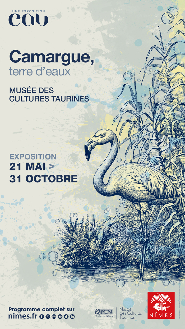 [Visite guidée] Exposition « Camargue, terre d’eau », Musée des cultures taurines, Nîmes