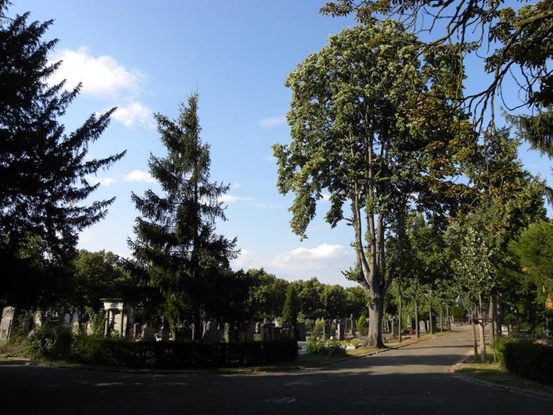 Visite guidée le cimetière, entre art et histoire Mulhouse