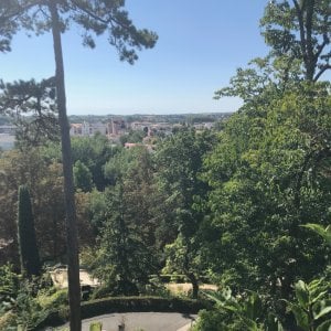Visite guidée Niort vu d’en haut Niort