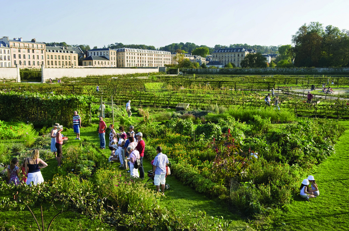 Visite guidée thématique : Un jardin de transmission depuis l&rsquo;origine, Potager du Roi, site historique de l’École nationale supérieure de paysage, Versailles
