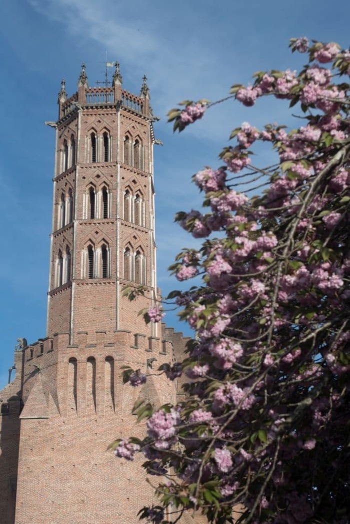 Visite libre de la cathédrale de Pamiers, Cathédrale Saint-Antonin, Pamiers