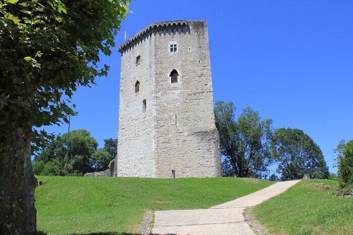 Visite libre de la demeure des vicomtes de Béarn Château Moncade Orthez