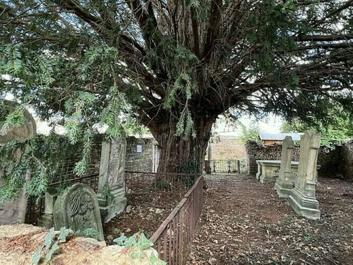 Visite libre de l’ancien cimetière protestant, Ancien cimetière protestant, Basly