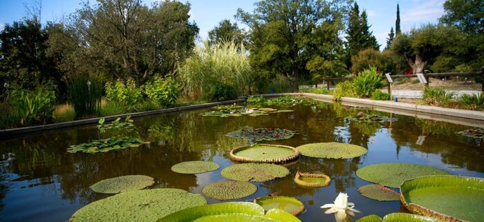 Visite libre de l&rsquo;arboretum, Arboretum, Canet-en-Roussillon