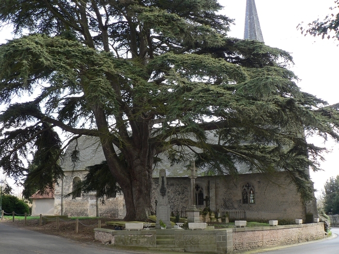 Visite libre de l’église, Église Saint-André, Livarot-Pays-d’Auge