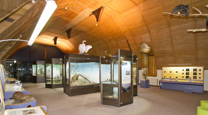 Visite libre de l'exposition "Le Blésois