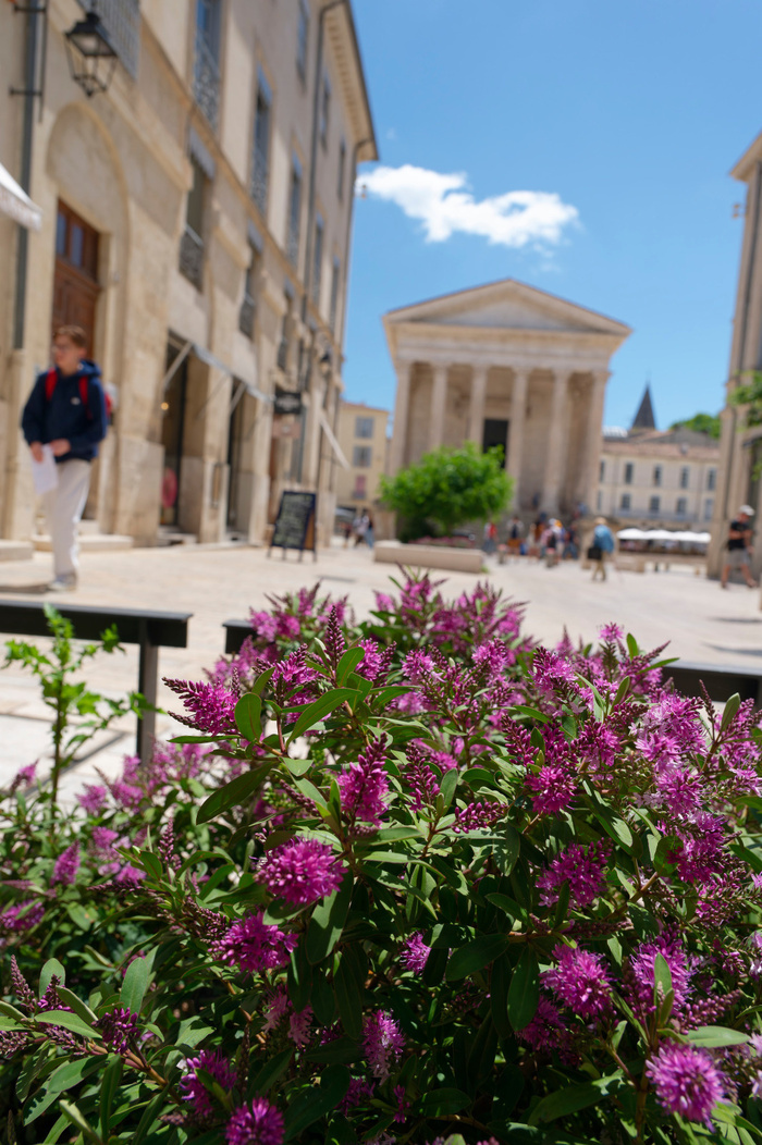 Visite libre : découvrez la Maison Carré, Maison Carrée, Nîmes