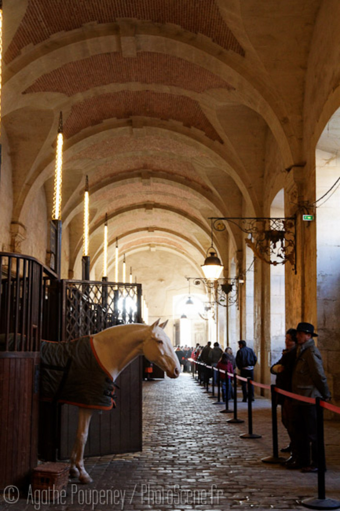 Visite libre des écuries royales, Académie équestre de Versailles – Centre chorégraphique équestre, Versailles