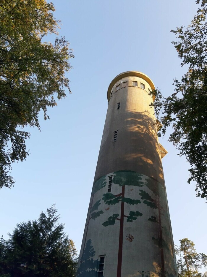 Visite libre du belvédère de Perseigne, Belvédère de Perseigne, Villaines-la-Carelle