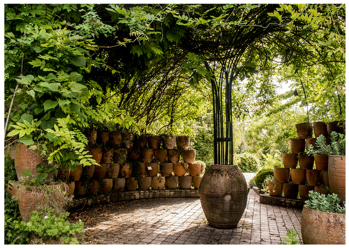 Visite libre du jardin botanique de Marnay-sur-Seine, Jardin botanique de Marnay-sur-Seine, Marnay-sur-Seine