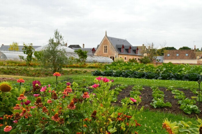 Visite libre du Jardin Potager, Jardin Potager Bonnétable, Bonnétable
