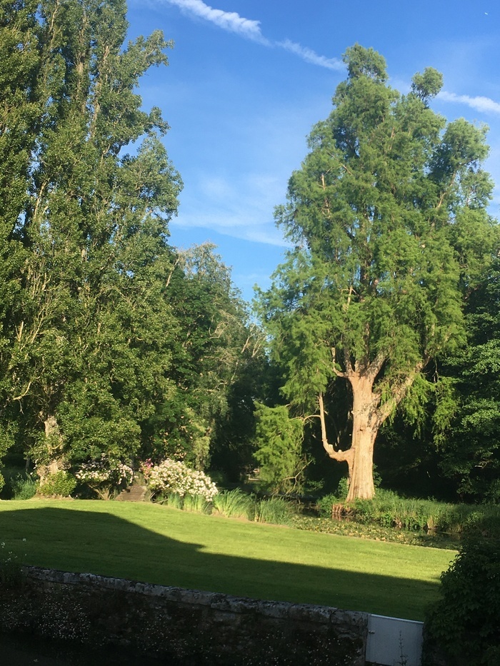 Visite libre du parc et des bords de rivière, Château de Rocheplatte, Aulnay-la-Rivière
