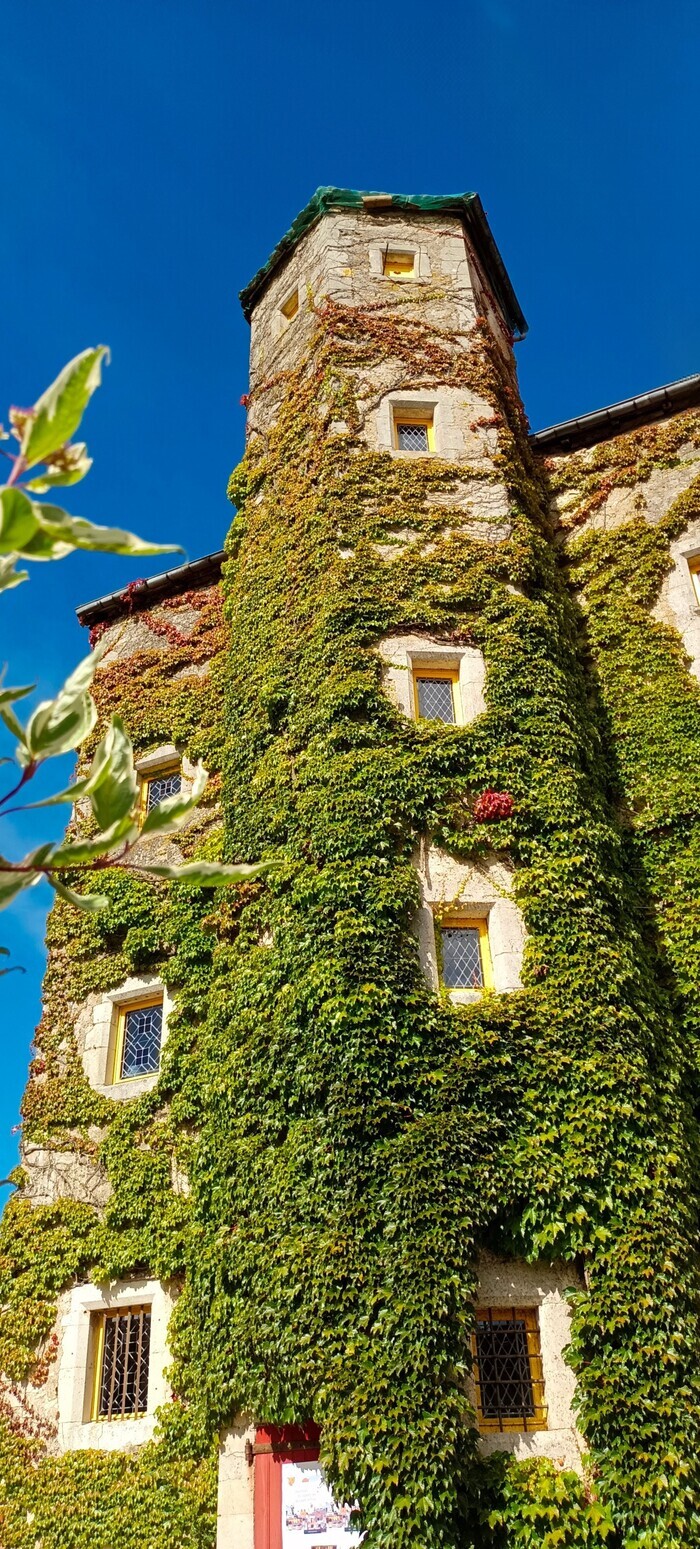 Visite libre et commentée du Manoir de Sexey aux Forges, Manoir de Sexey, Sexey-aux-Forges
