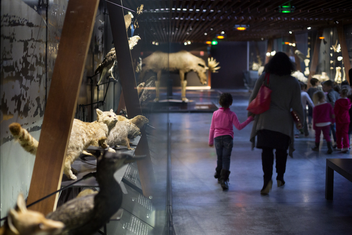Visite libre : SOS animaux en danger !, Fabrique des Savoirs, Elbeuf