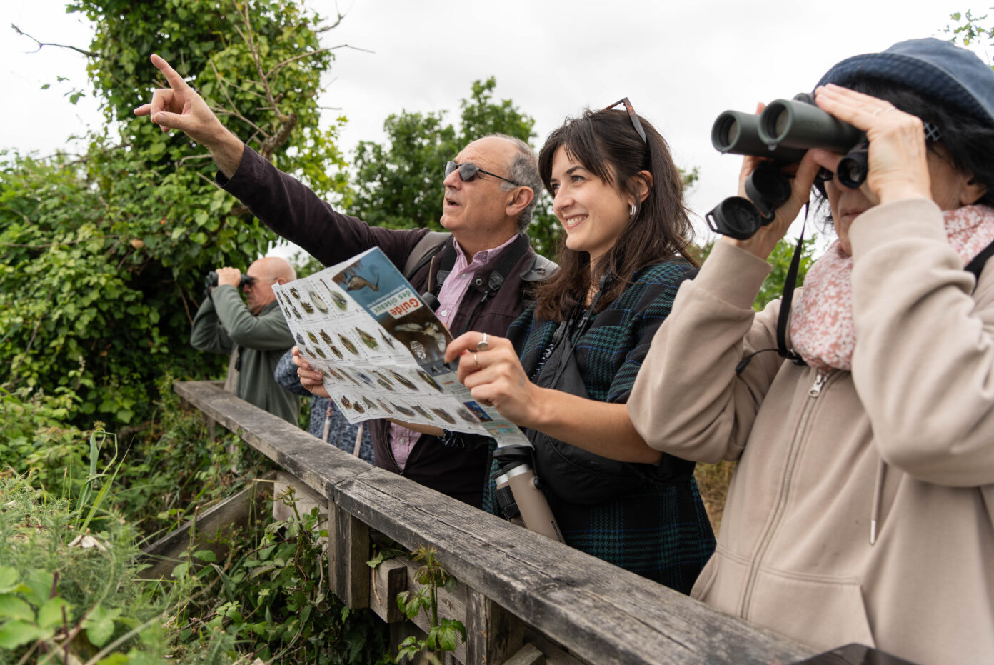 Visite ornitho-historique de la Réserve ornithologique du Teich Le Teich