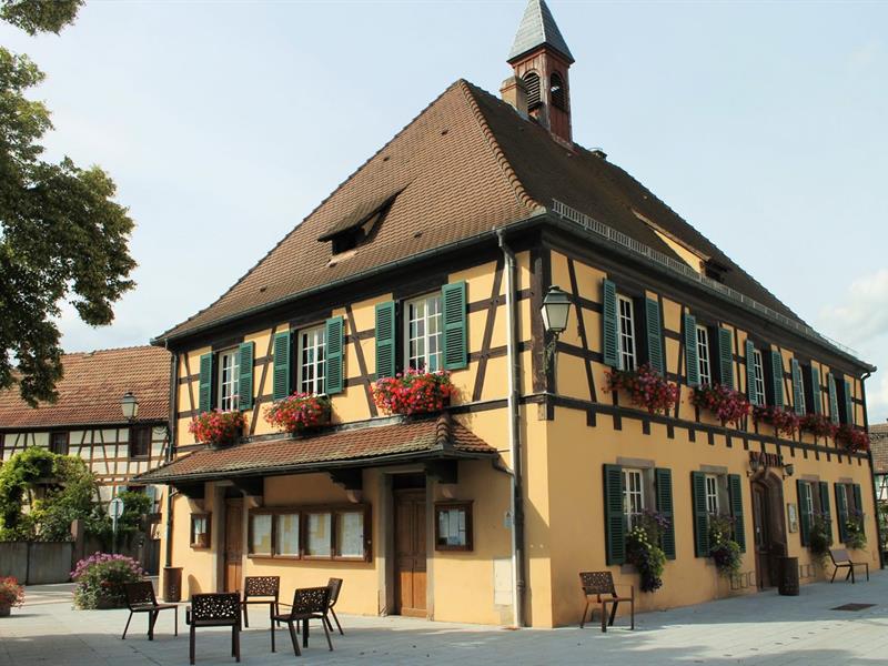 Visite Ried au pas des villageois Baldenheim