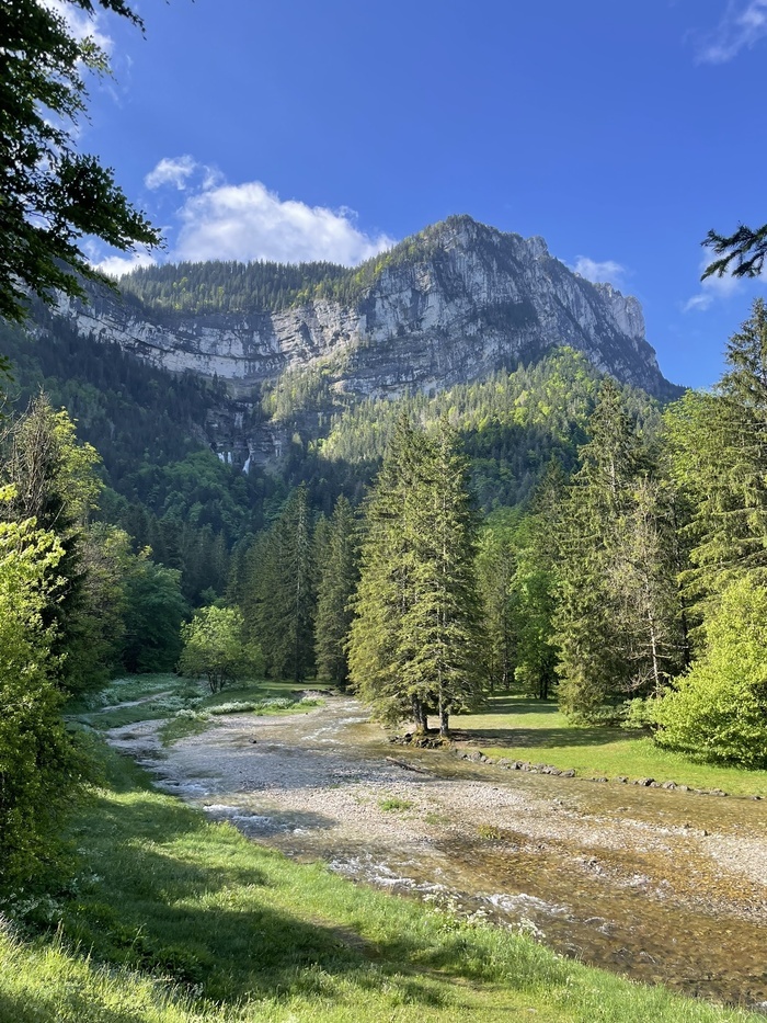Visite sylviculture : la forêt de Chartreuse Le Cirque de Saint Même Saint-Pierre-d'Entremont