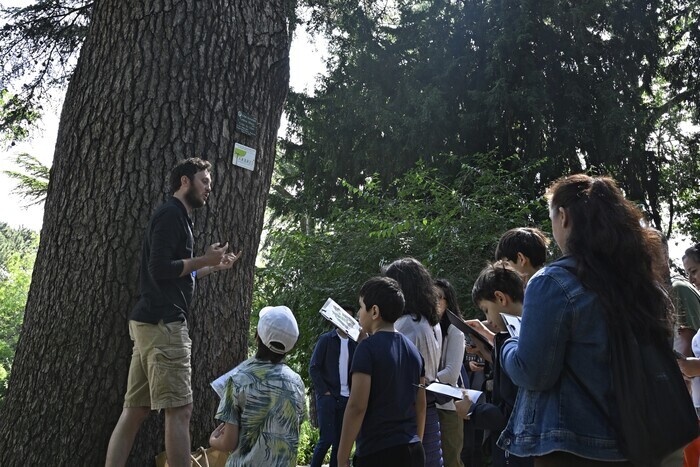 Visites guidée en famille du Jardin des Plantes « L&rsquo;arbre à remonter le temps », Muséum national d&rsquo;histoire naturelle – Jardin des Plantes, Paris