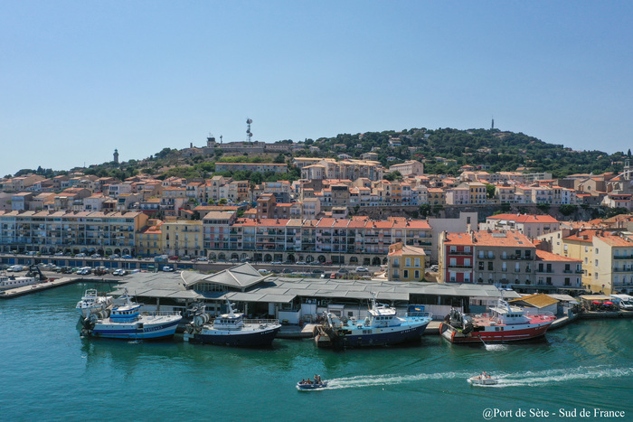 Visites guidées de la criée du port de Sète, Criée du Port de Sète, Sète