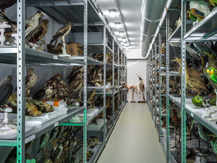 Visites guidées du centre de conservation, MOBE – Muséum d&rsquo;Orléans pour la Biodiversité et l&rsquo;Environnement, Orléans