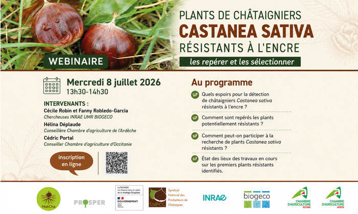 Webinaire Castanea Sativa, Ardèche (07), Veyras