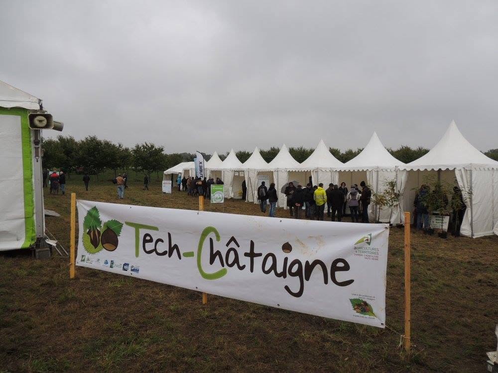 7ème Salon Tech-Châtaigne 28 route de La Faye Saint-Yrieix-la-Perche 2026-09-18