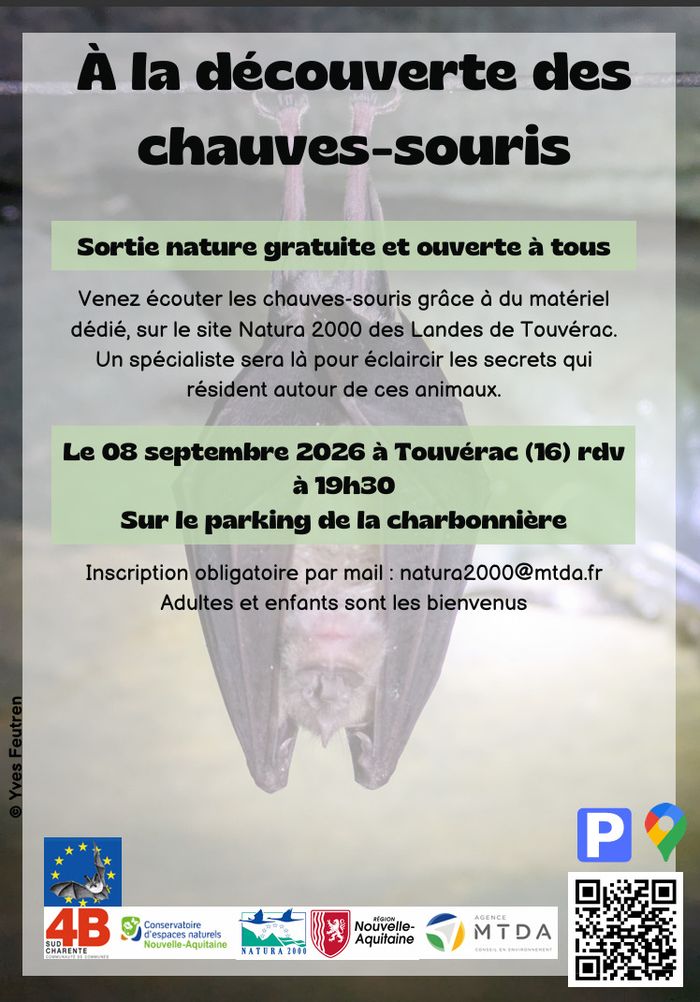 À la découverte des chauves-souris, Parking de la Charbonière, Touvérac